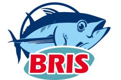 Bris-01